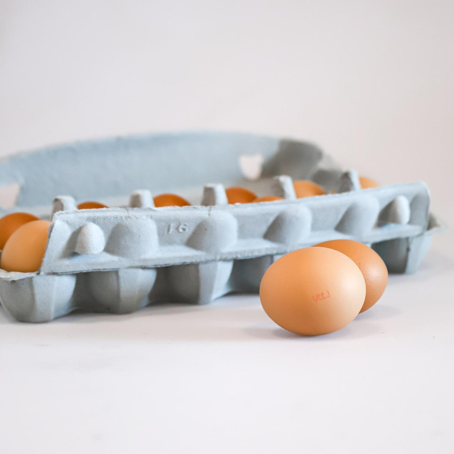 Honest Eggs