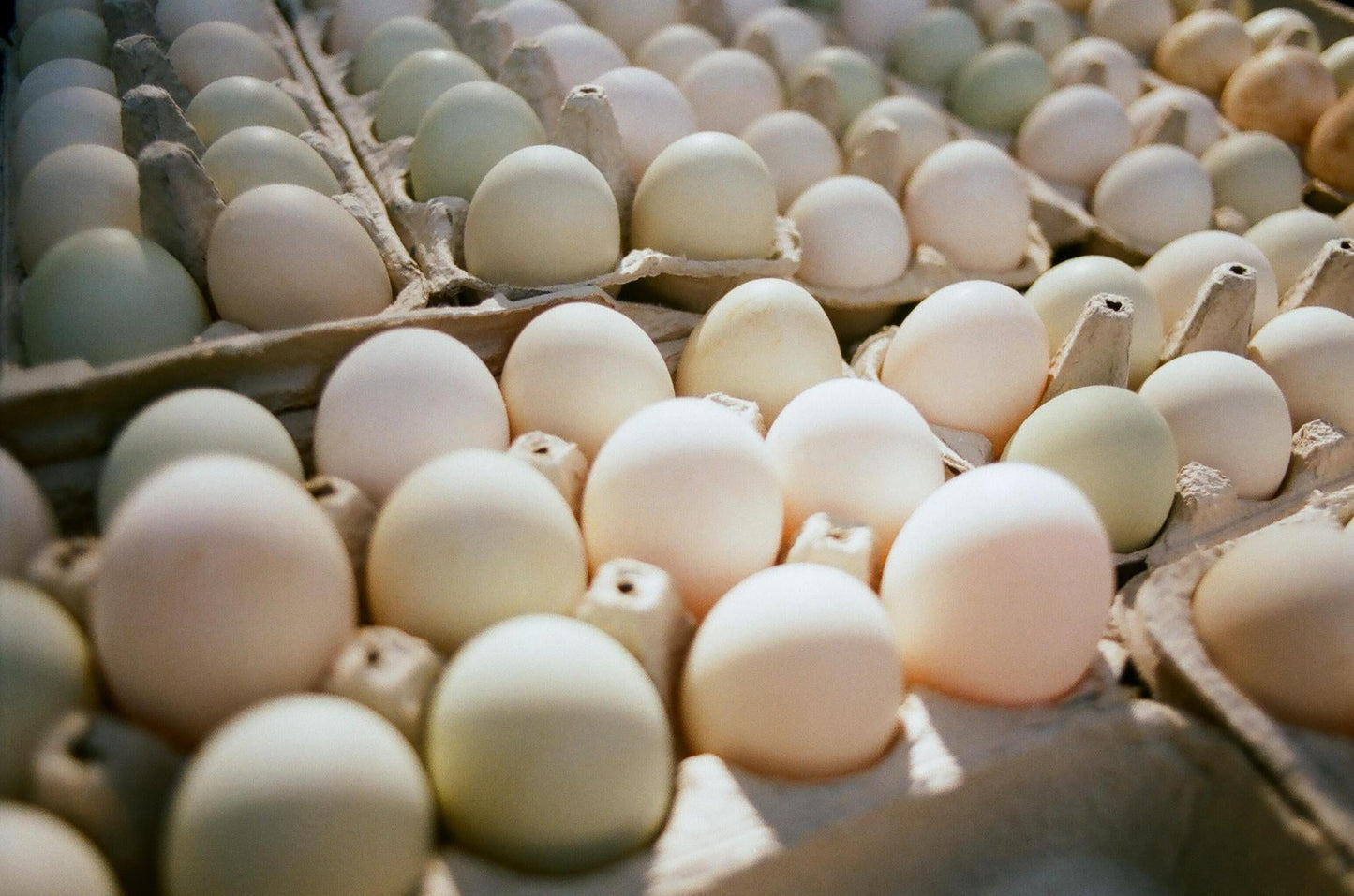 Duck Eggs - Whisked.net.au
