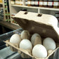 Woodlands Ducks - Free Range Duck Eggs 6 Pack - Min. 500 - Whisked.net.au