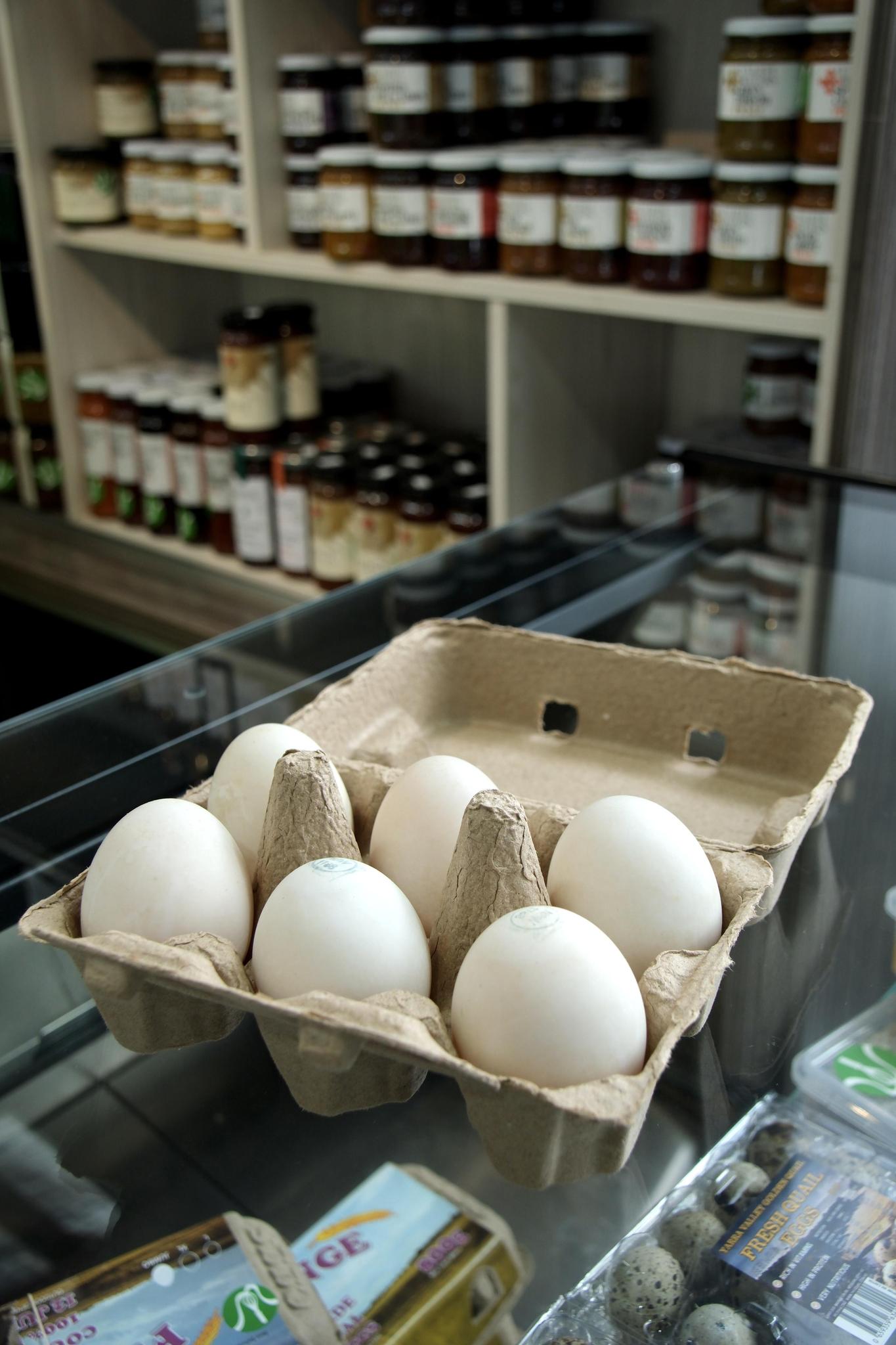 Woodlands Ducks - Free Range Duck Eggs 6 Pack - Min. 500 - Whisked.net.au