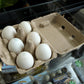 Woodlands Ducks - Free Range Duck Eggs 6 Pack - Min. 500 - Whisked.net.au
