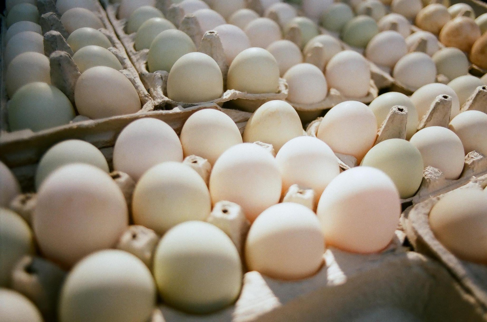 Duck Eggs - Whisked.net.au